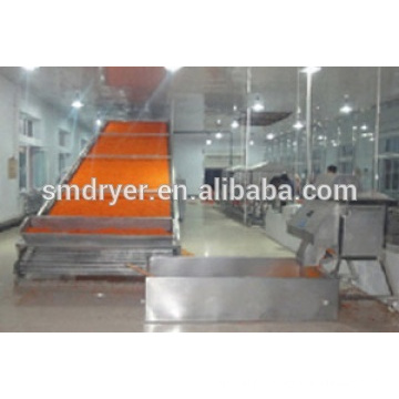 DWP Series Mesh-Belt Drying Machinery For Filber Plate